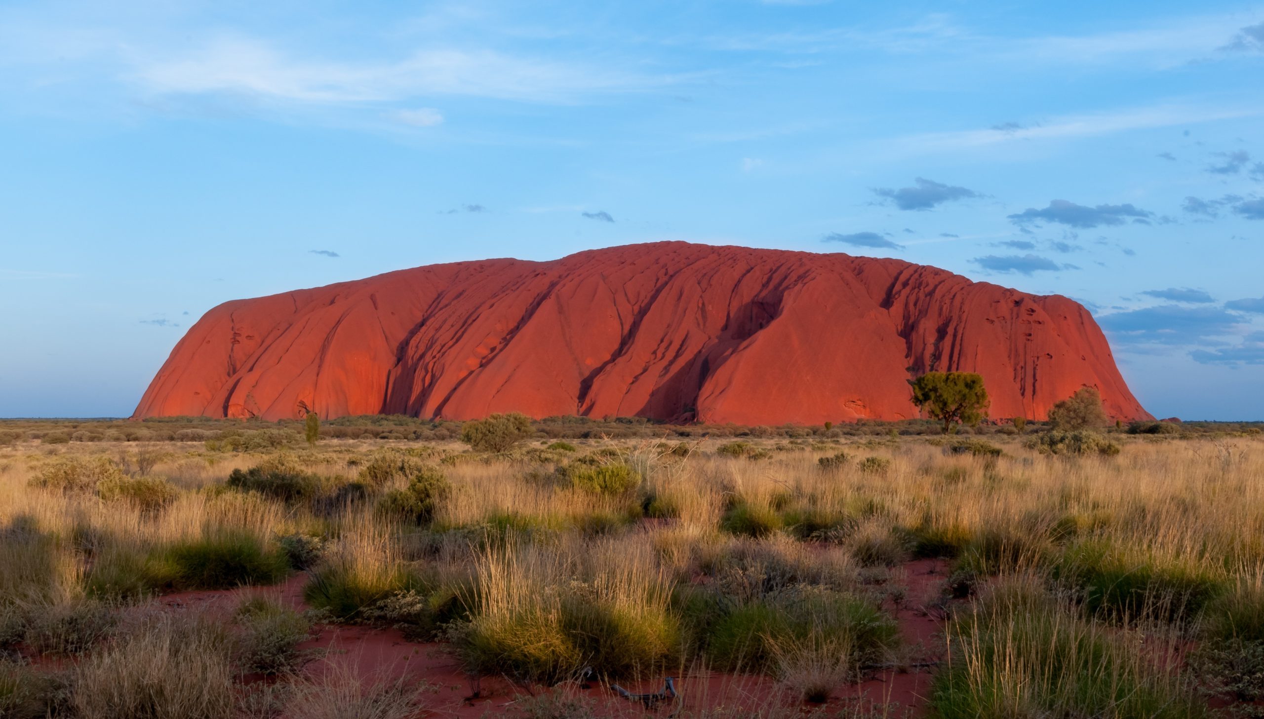 montagne australienne chaman